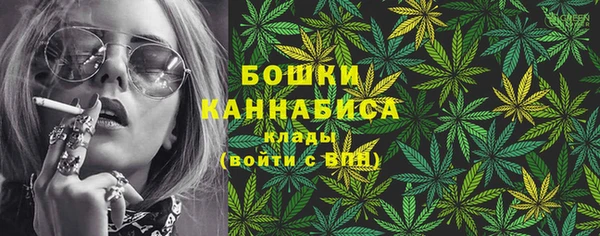 ПСИЛОЦИБИНОВЫЕ ГРИБЫ Абдулино