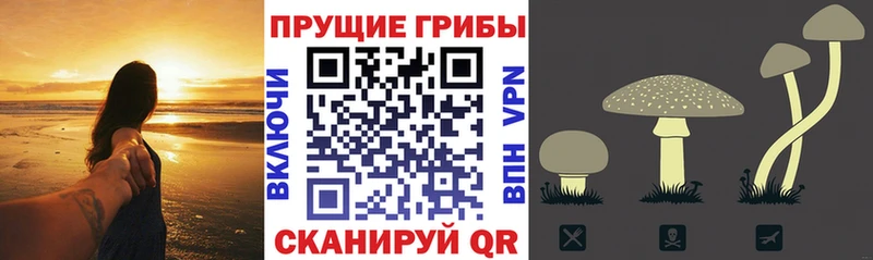 Галлюциногенные грибы GOLDEN TEACHER  Киренск 