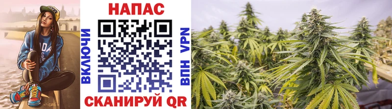 закладки  Киренск  Бошки марихуана Ganja 